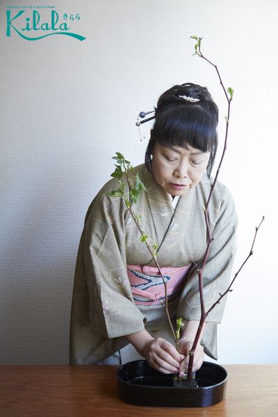 học cắm hoa Ikebana